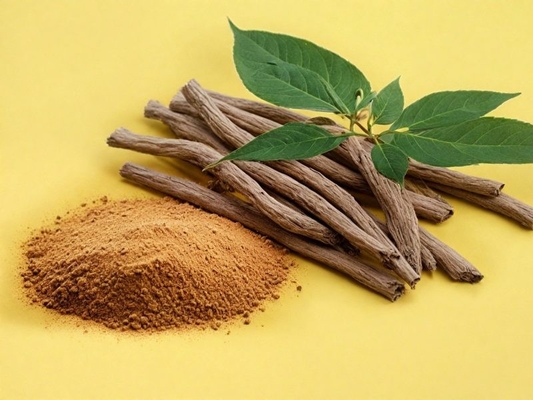 Antyoksydant Ekstrakt korzenia ashwagandzy w proszku z 5% witanolidem Cas 90147-43-6